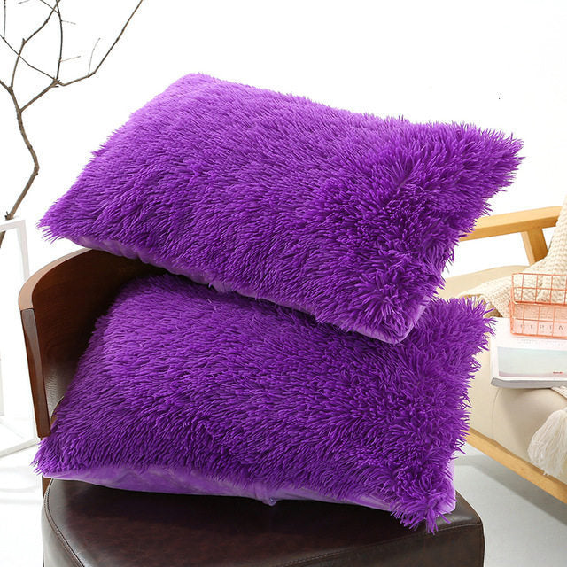 Plush Pillowcase
Winter Warm Long Fluffy Slee