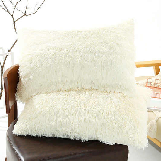 Plush Pillowcase 
Winter Warm Long Fluffy Slee
